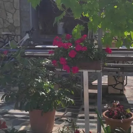 Apartamento Orhideja *