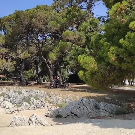 Orhideja Apartmán Zadar