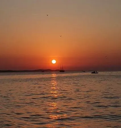 Orhideja Zadar