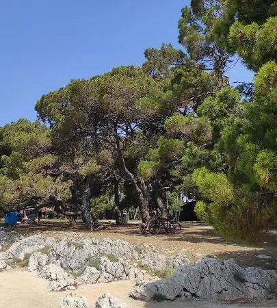 Orhideja Lägenhet Zadar