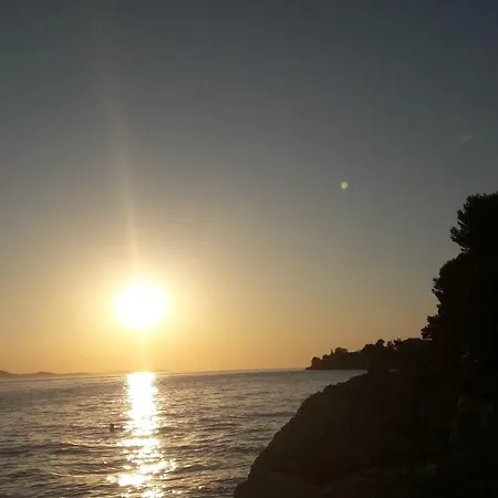 Orhideja * 扎达尔