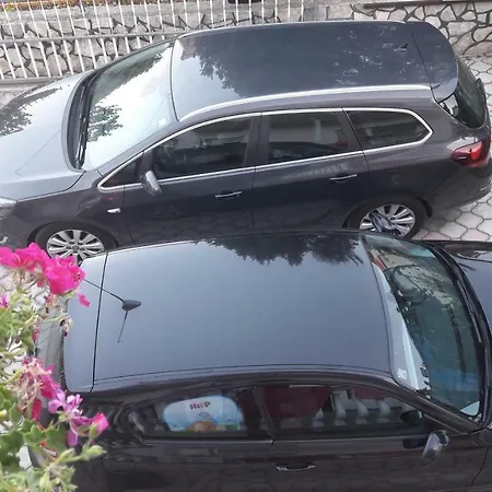 Orhideja * 扎达尔