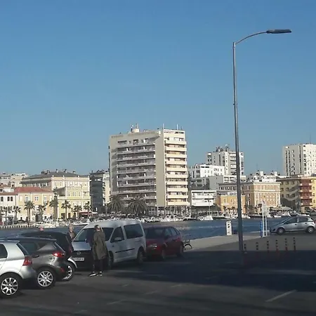 Orhideja זאדאר