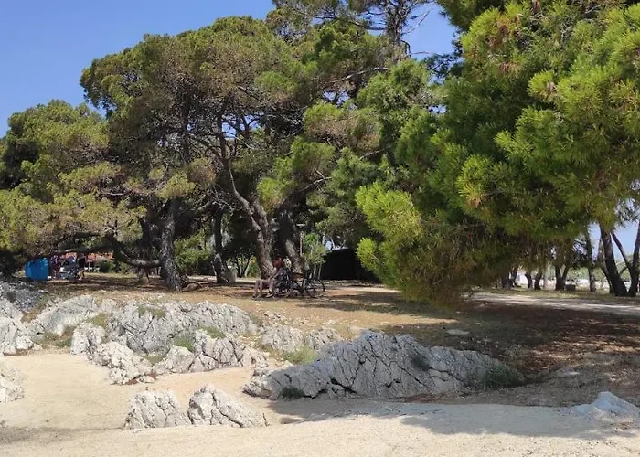 Orhideja Apartman Zadar