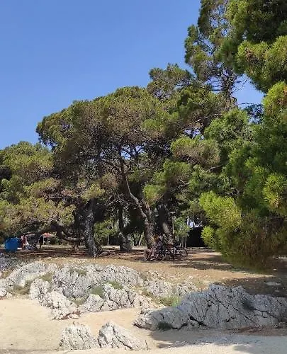 Orhideja Apartman Zadar