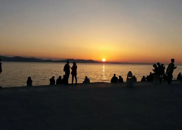 Orhideja * Zadar