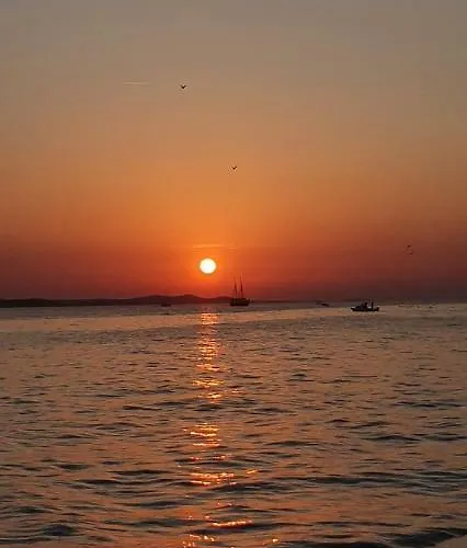 Orhideja Zadar
